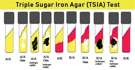 tsia slant|tsia slant 4 tests.